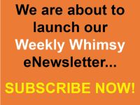 Subscribe to our newsletter